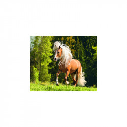 PUZZLE CAL PE PAJISTE, 1000 PIESE