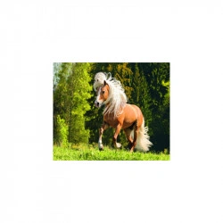 PUZZLE CAL PE PAJISTE, 1000 PIESE - Img 2
