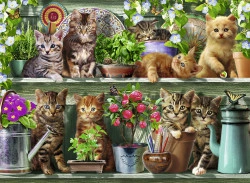 PUZZLE PISICI PE RAFT, 500 PIESE - Img 3