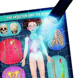 PUZZLE RADIOGRAFIA CORPULUI UMAN