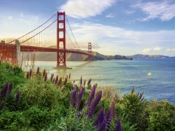 PUZZLE POD GOLDEN GATE, 1000 PIESE - Img 2