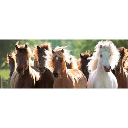 Puzzle Cai Salbatici, 1000 Piese