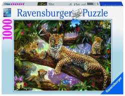 PUZZLE FAMILIE DE LEOPARZI, 1000 PIESE