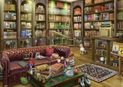 PUZZLE SALA DE LECTURA, 1000 PIESE