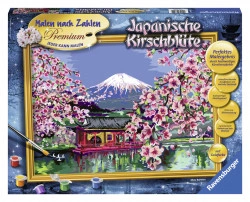Pictura Pe Numere Japonia