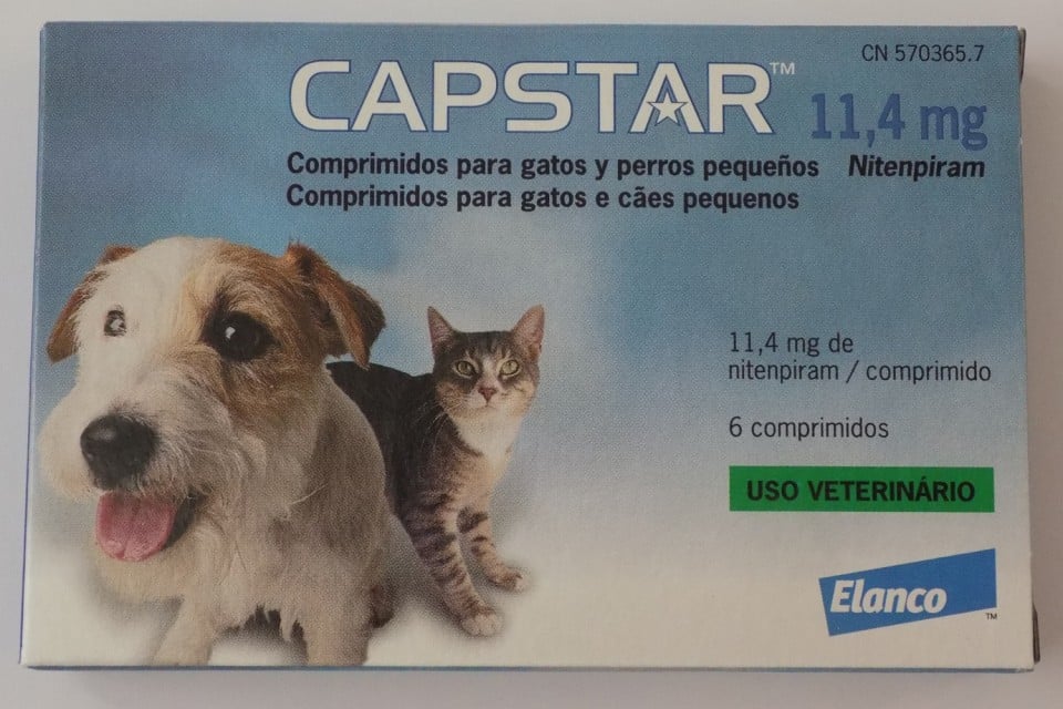 Capstar flea killer for fashion dogs