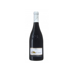 Wine "Quinta Cabriz" - Dão