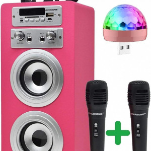 CADC10 - Set Sistem Mini Karaoke si 2 Mini Microfoane, Jucarii copii, Cadou pentru Craciun, Petreceri in familie - Roz