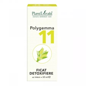 Plantextrakt Polygemma 11 Ficat Detoxifiere 50ml