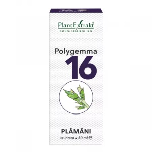 Plantextrakt Polygemma 16 Plamani 50ml