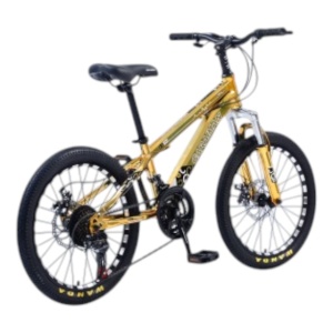Bicicleta Caraiman 2023, Culoare Galben/Auriu Cod CR-20, 20inch, , Cadru Otel, Frane pe Disc - Img 2