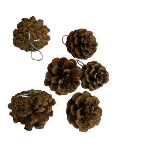 Set de 6 bucati, Conuri de brad natural