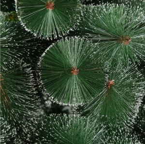 Pin Artificial Verde Lucios, 240cm, Varfuri Ninse, Brad Artificial Nins, Aspect Real - Img 2