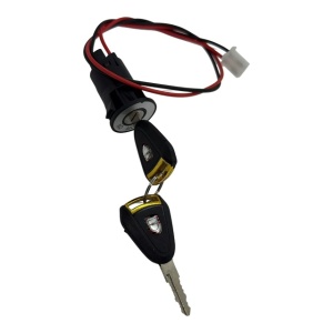 Set de 2 chei pentru trotineta electrică Citycoco, neagră