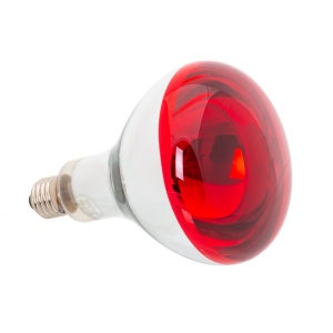Bec de încălzire cu infraroșu, 150 W