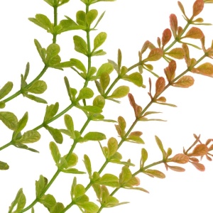 Planta artificiala curgatoare Eucalipt ,cu 4 fire, lungime 90-100cm, Rosu/Verde - Img 2