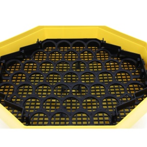 Incubator electric oua (clocitoare) cu dispozitiv de intoarcere Cleo 5D, 230 V, 41 oua capacitate, 38°C temperatura incubare, INTOARCE OUALE SINGURA, incubator oua, clocitoare oua, incubator pui, CLOCITOARE CU CHEITA - Img 6