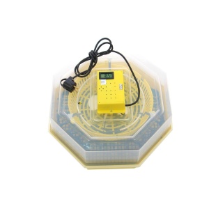 Incubator electric oua (clocitoare) cu dispozitiv de INTOARCERE si TERMOMETRU Cleo 5DT, 230 V, 41 oua capacitate, 38°C temperatura incubare INTOARCE OUALE SINGURA, incubator oua, clocitoare oua, incubator pui - Img 6