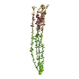 Planta artificiala curgatoare Eucalipt ,cu 4 fire, lungime 90-100cm, Rosu/Verde