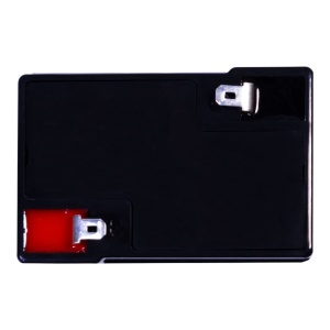 Acumulator AGM VRLA, 4V 4,6A, dimensiuni 48mm x 52mm x h 101mm - Img 2