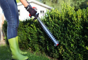 Trimmer/Foarfeca electrica pentru gard viu si pomi, cu acumulator - Img 2