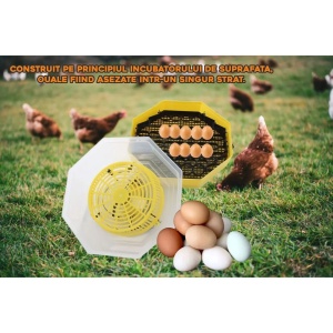 Incubator electric oua (clocitoare) cu dispozitiv de INTOARCERE si TERMOMETRU Cleo 5DT, 230 V, 41 oua capacitate, 38°C temperatura incubare INTOARCE OUALE SINGURA, incubator oua, clocitoare oua, incubator pui - Img 4