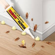 Insecticid Tip Gel Pentru Gandaci, Doctor Roach,30g - Img 4
