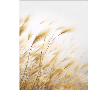 Tablou Canvas Bellus Natura Nox - Img 3