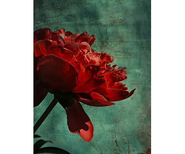 Tablou Canvas Solis Aeternum Lux Noctis - Img 4
