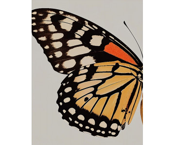 Tablou Canvas Tranquil Butterfly Bliss - Img 6