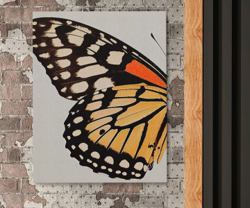 Tablou Canvas Tranquil Butterfly Bliss - Img 2