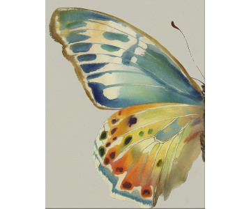 Tablou Canvas Butterfly Ballet - Img 6