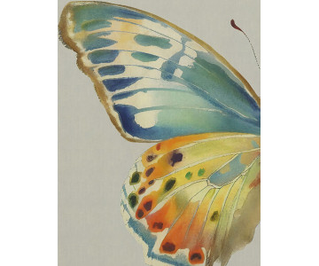 Tablou Canvas Butterfly Ballet - Img 3