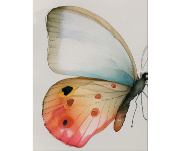 Tablou Canvas Vibrant Butterfly Cascade - Img 6