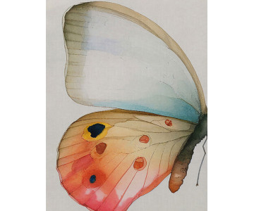 Tablou Canvas Vibrant Butterfly Cascade - Img 3