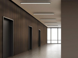 Folie decorativa WL Folie Nutwood Nature Sibu Design 