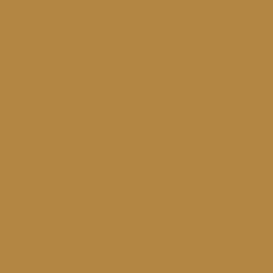 HPL Curcuma Gold 2800x1300x0.9 RAUVISIO noir