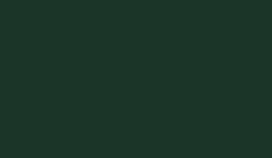 Laminate Egger U699 ST9 Verde brad