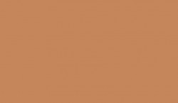 LAMINATE - U830 Caramel nude ST9