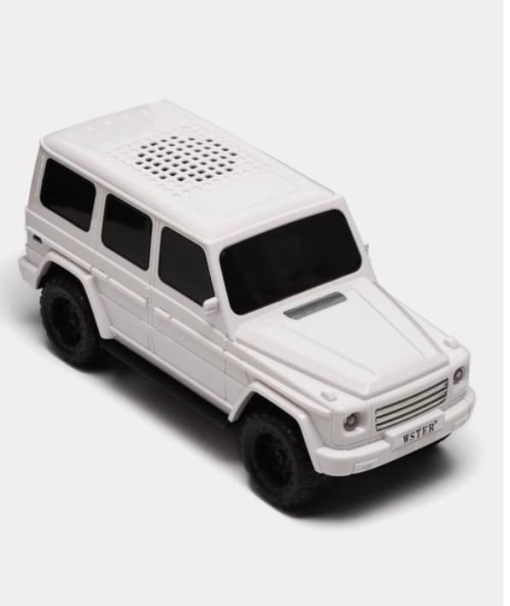 Boxa portabila Wstern 8W, Bluetooth, Radio, Alb
