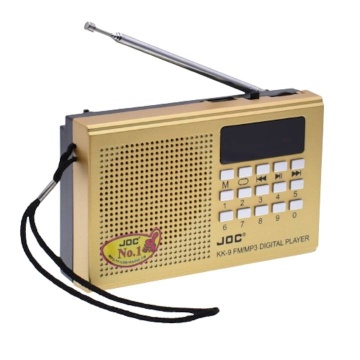 Radio portabil cu acumulator 3.7v 2000mAh, Mp3, Card TF, Usb, FM, Auriu - Img 5