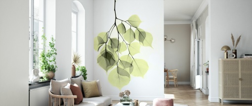 Tapet Dalbergia, Photowall