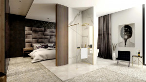 Panou de duș Rea Aero Gold Brush N 120 Walk In + EVO - Img 2