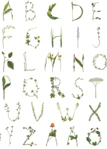 Tapet Floral Alphabet Mini, Swedish, Rebel Walls, 5 mp / rola - Img 2
