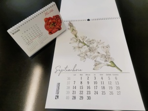 Calendar de birou cu hârtie specială Olin White - Img 4