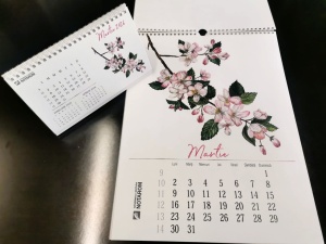 Calendar de perete cu hârtie specială Tintoretto Gesso - Img 7