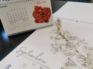 Calendar de perete cu hârtie specială Olin White - Img 4