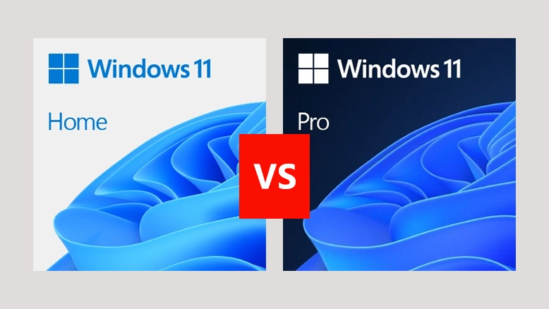 Windows 11 Home vs Windows 11 Pro