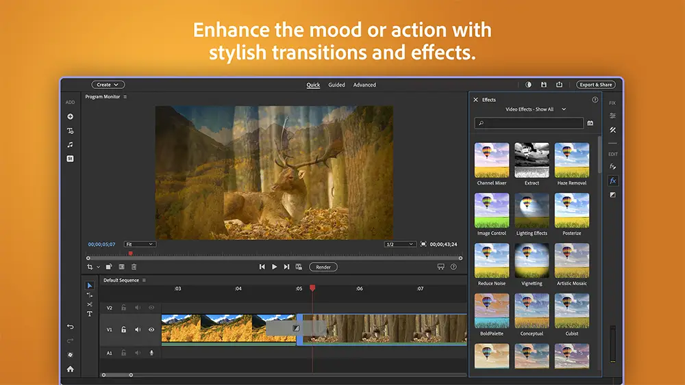 Interfața de lucru Adobe Premiere Elements - LicențePC