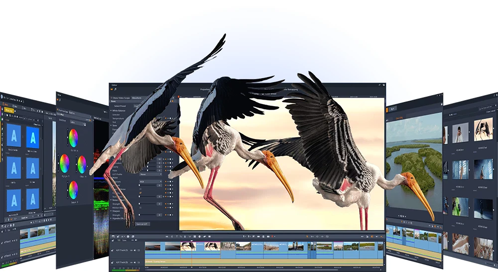 Licență Pinnacle Studio 26 Ultimate Licență Pinnacle Studio Ultimate